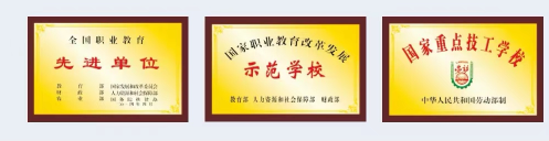 1733129555108738.png image.png